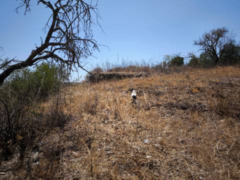 TERRENO COM 7.640 M2 JUNTO A ENTRADA DA ALDEIA DE CORTES PEREIRA - ALCOUTIM - ALGARVE