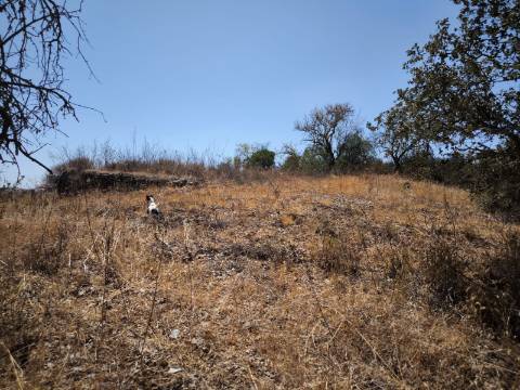 TERRENO COM 7.640 M2 JUNTO A ENTRADA DA ALDEIA DE CORTES PEREIRA - ALCOUTIM - ALGARVE