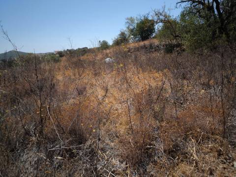 TERRENO COM 7.640 M2 JUNTO A ENTRADA DA ALDEIA DE CORTES PEREIRA - ALCOUTIM - ALGARVE