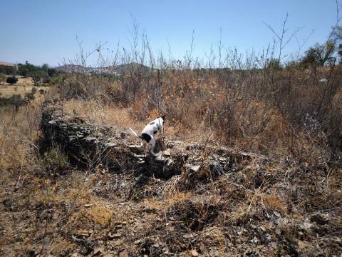 TERRENO COM 7.640 M2 JUNTO A ENTRADA DA ALDEIA DE CORTES PEREIRA - ALCOUTIM - ALGARVE