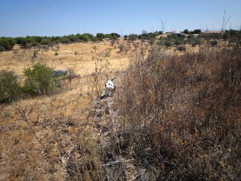 TERRENO COM 7.640 M2 JUNTO A ENTRADA DA ALDEIA DE CORTES PEREIRA - ALCOUTIM - ALGARVE