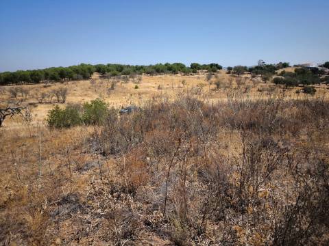 TERRENO COM 7.640 M2 JUNTO A ENTRADA DA ALDEIA DE CORTES PEREIRA - ALCOUTIM - ALGARVE
