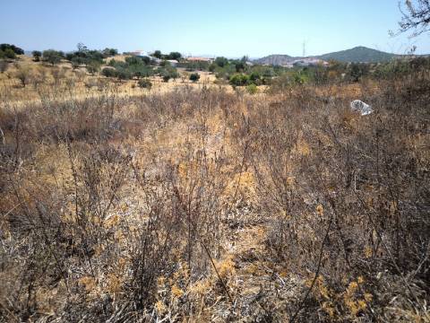 TERRENO COM 7.640 M2 JUNTO A ENTRADA DA ALDEIA DE CORTES PEREIRA - ALCOUTIM - ALGARVE