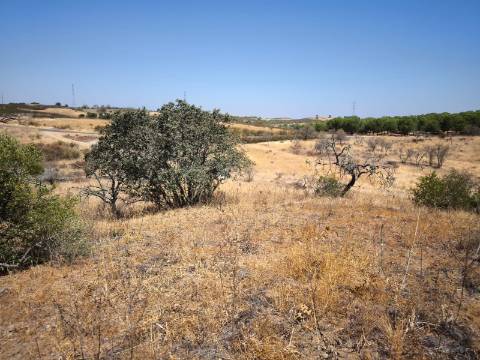 TERRENO COM 7.640 M2 JUNTO A ENTRADA DA ALDEIA DE CORTES PEREIRA - ALCOUTIM - ALGARVE