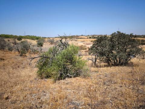 TERRENO COM 7.640 M2 JUNTO A ENTRADA DA ALDEIA DE CORTES PEREIRA - ALCOUTIM - ALGARVE