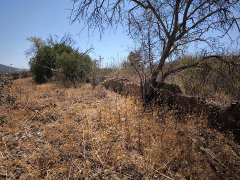 TERRENO COM 7.640 M2 JUNTO A ENTRADA DA ALDEIA DE CORTES PEREIRA - ALCOUTIM - ALGARVE