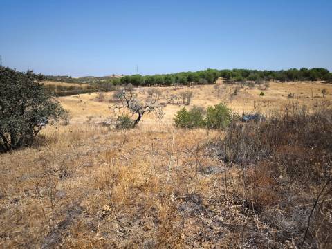 TERRENO COM 7.640 M2 JUNTO A ENTRADA DA ALDEIA DE CORTES PEREIRA - ALCOUTIM - ALGARVE