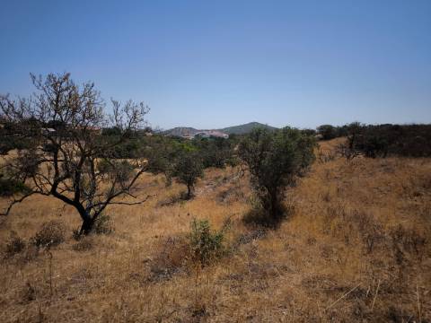 TERRENO COM 7.640 M2 JUNTO A ENTRADA DA ALDEIA DE CORTES PEREIRA - ALCOUTIM - ALGARVE