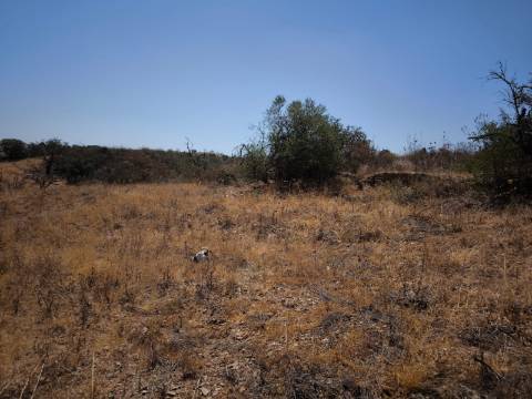 TERRENO COM 7.640 M2 JUNTO A ENTRADA DA ALDEIA DE CORTES PEREIRA - ALCOUTIM - ALGARVE