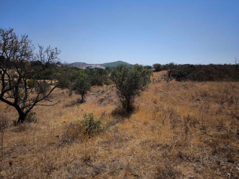 TERRENO COM 7.640 M2 JUNTO A ENTRADA DA ALDEIA DE CORTES PEREIRA - ALCOUTIM - ALGARVE