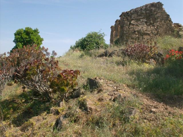 TERRENO MISTO COM 99.760 M² - COM RUÍNA - POÇOS - CONSTRUÇÃO DE HABITAÇÃO E OU TURISMO RURAL - VALE ANDREU - CASTRO MARIM - ALGARVE