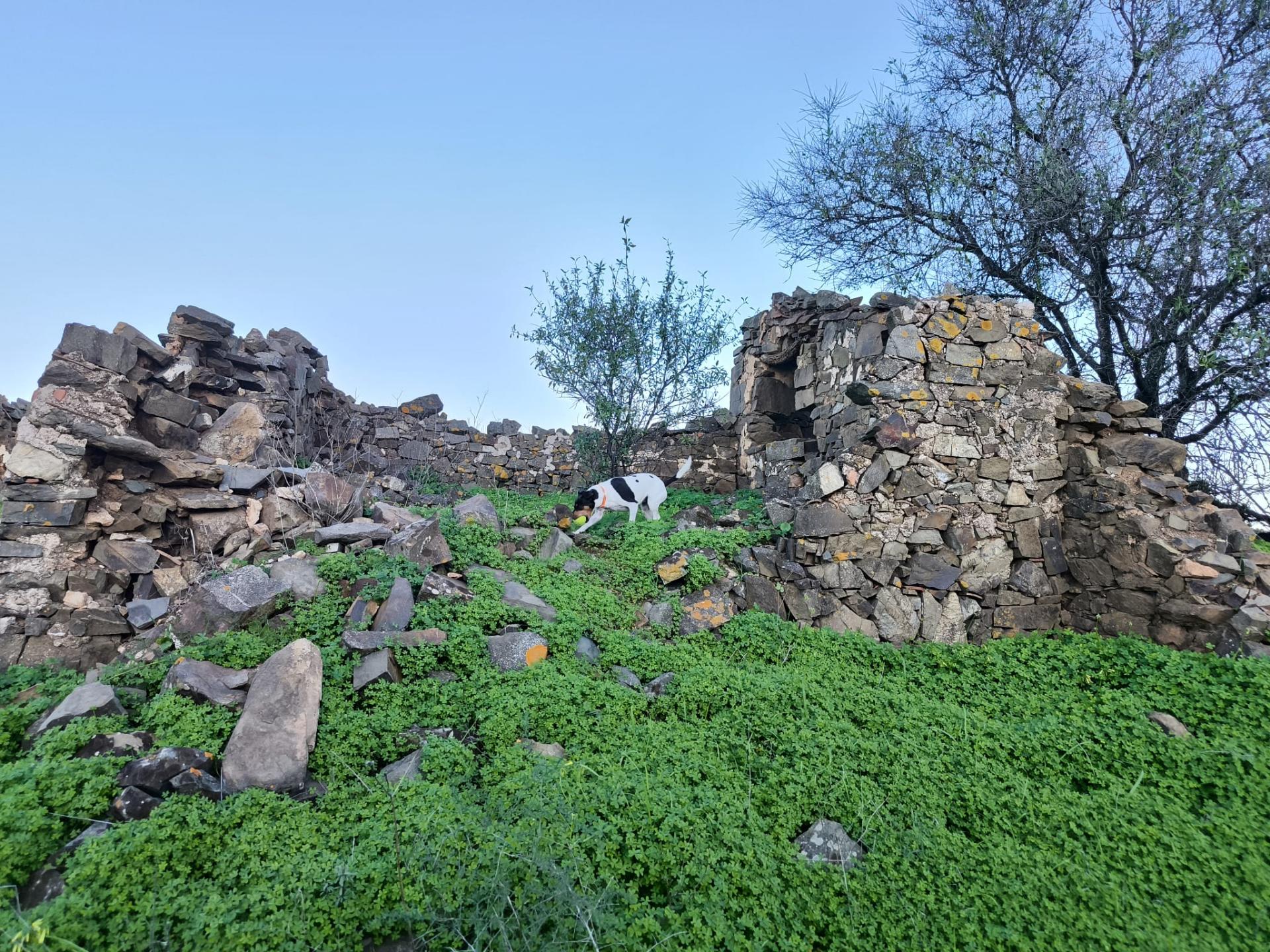 TERRENO MISTO COM 99.760 M² - COM RUÍNA - POÇOS - CONSTRUÇÃO DE HABITAÇÃO E OU TURISMO RURAL - VALE ANDREU - CASTRO MARIM - ALGARVE