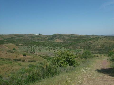 TERRENO MISTO COM 99.760 M² - COM RUÍNA - POÇOS - CONSTRUÇÃO DE HABITAÇÃO E OU TURISMO RURAL - VALE ANDREU - CASTRO MARIM - ALGARVE