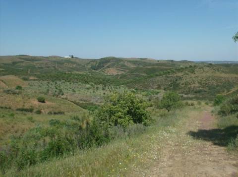TERRENO MISTO COM 99.760 M² - COM RUÍNA - POÇOS - CONSTRUÇÃO DE HABITAÇÃO E OU TURISMO RURAL - VALE ANDREU - CASTRO MARIM - ALGARVE