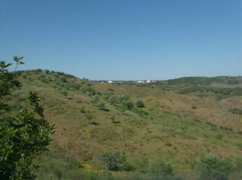 TERRENO MISTO COM 99.760 M² - COM RUÍNA - POÇOS - CONSTRUÇÃO DE HABITAÇÃO E OU TURISMO RURAL - VALE ANDREU - CASTRO MARIM - ALGARVE