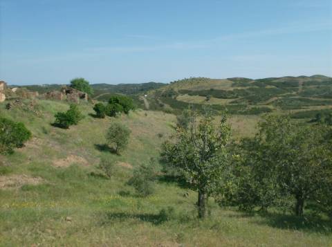 TERRENO MISTO COM 99.760 M² - COM RUÍNA - POÇOS - CONSTRUÇÃO DE HABITAÇÃO E OU TURISMO RURAL - VALE ANDREU - CASTRO MARIM - ALGARVE