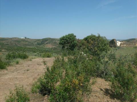 TERRENO MISTO COM 99.760 M² - COM RUÍNA - POÇOS - CONSTRUÇÃO DE HABITAÇÃO E OU TURISMO RURAL - VALE ANDREU - CASTRO MARIM - ALGARVE