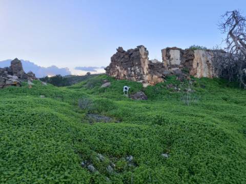 TERRENO MISTO COM 99.760 M² - COM RUÍNA - POÇOS - CONSTRUÇÃO DE HABITAÇÃO E OU TURISMO RURAL - VALE ANDREU - CASTRO MARIM - ALGARVE