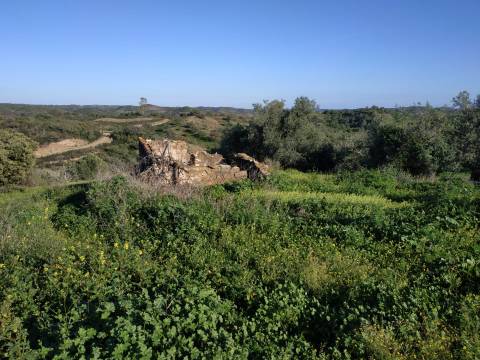 MORADIAS - TRÊS PREDIOS URBANOS PARA HABITAÇÃO - COM PROJECTO APROVADO - PARA RECONSTRUIR - ALCARIAS GRANDES - CASTRO MARIM - ALGARVE