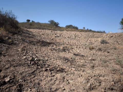 TERRENO RÚSTICO COM 2.360 M2 PROXIMO A ALDEIA DA CORTE DO GAGO - CASTRO MARIM - ALGARVE