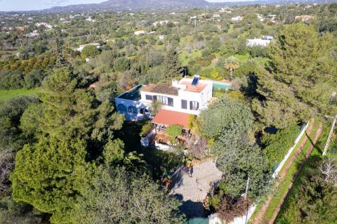 Quinta com 3 Casas + Piscina e Garagem | 6.040 m² - Moncarapacho
