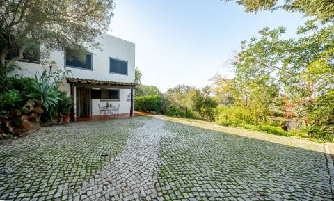 Quinta com 3 Casas + Piscina e Garagem | 6.040 m² - Moncarapacho
