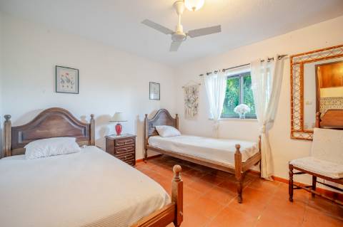 Quinta com 3 Casas + Piscina e Garagem | 6.040 m² - Moncarapacho
