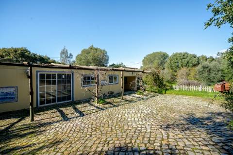 Quinta com 3 Casas + Piscina e Garagem | 6.040 m² - Moncarapacho
