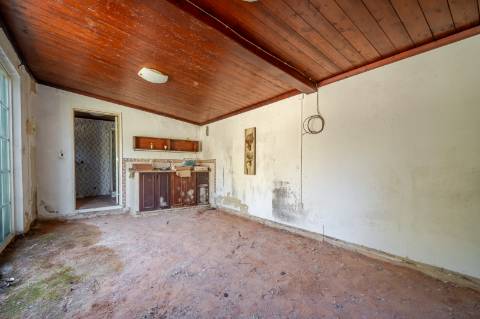 Quinta com 3 Casas + Piscina e Garagem | 6.040 m² - Moncarapacho
