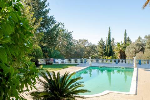 Quinta com 3 Casas + Piscina e Garagem | 6.040 m² - Moncarapacho
