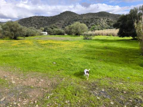 TERRENO COM 5.760 M² - COM FURO - ACESSO DIRETO À ÁGUA - JUNTO AO RIO GUADIANA - ALCOUTIM - ALGARVE