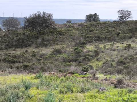 TERRENO COM 55.480 M² - COM POSSIBILIDADE DE CONSTRUÇÃO - HABITAÇÃO - TURISMO RURAL - ODELEITE - CASTRO MARIM - ALGARVE
