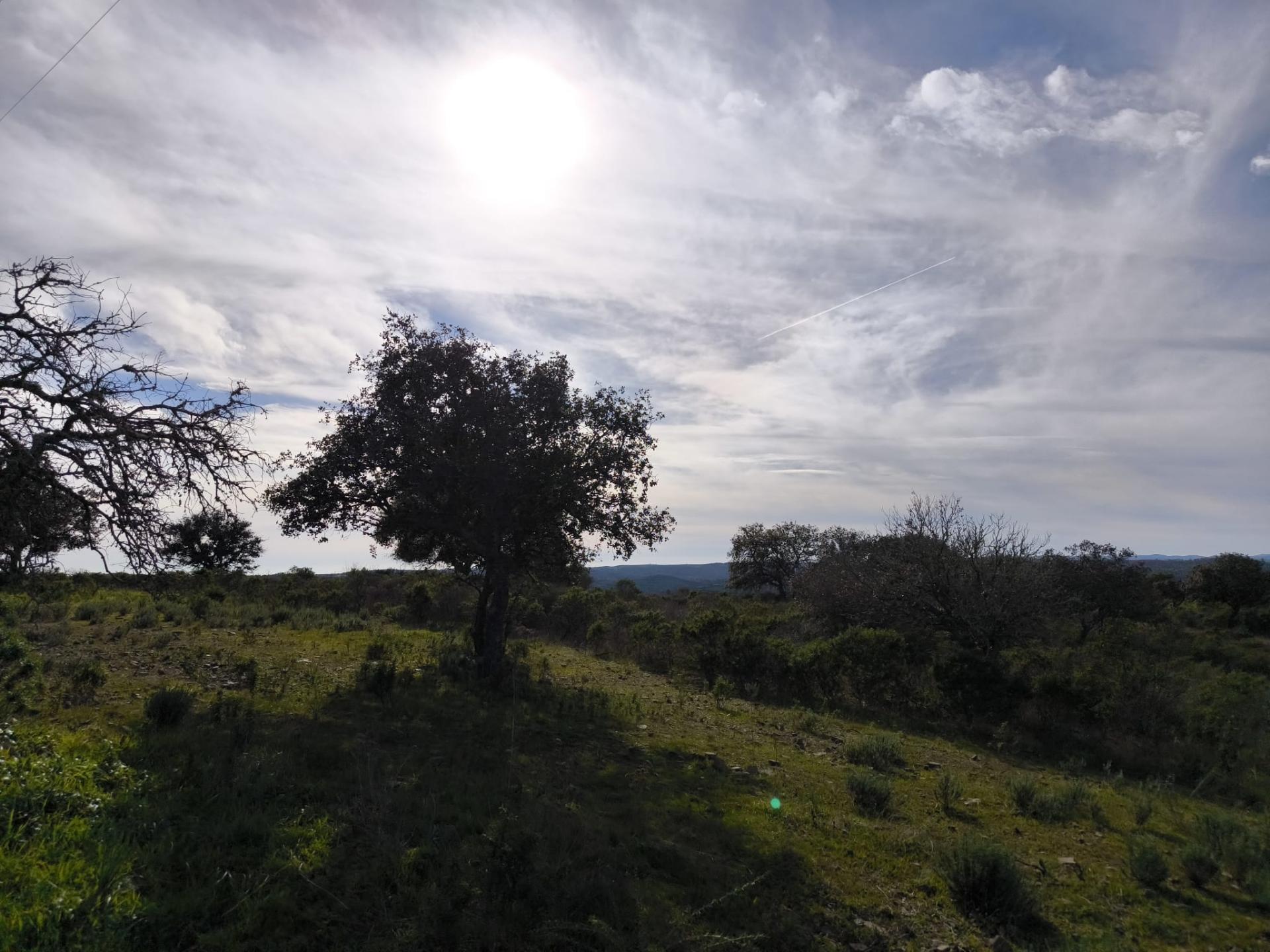 TERRENO RÚSTICO COM 8.880 M² - PLANO - PRÓXIMO À ELETRICIDADE - ODELEITE - CASTRO MARIM - ALGARVE