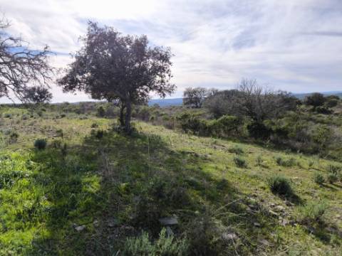 TERRENO RÚSTICO COM 8.880 M² - PLANO - PRÓXIMO À ELETRICIDADE - ODELEITE - CASTRO MARIM - ALGARVE