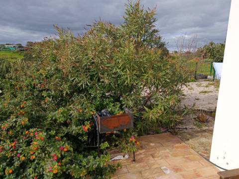 DUAS MORADIAS ISOLADAS - NUM TERRENO DE 1.823 M² - UMA PRONTA A HABITAR - OUTRA PARA REABILITAR OU DEMOLIR - NA ALDEIA DE ALCARIAS GRANDES - AZINHAL - CASTRO MARIM - ALGARVE