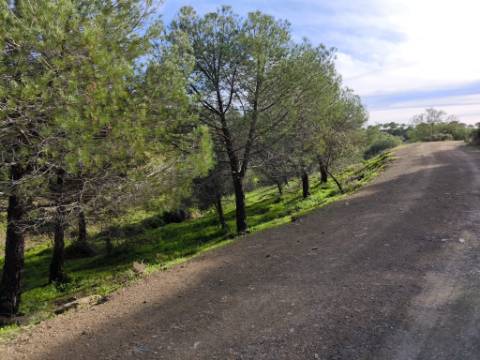 TERRENO COM 76.620 M2 - COM POSSIBILIDADE DE CONSTRUÇÃO - MORADIA E OU TURISMO - COM ÁRVORES - PRÓXMO A FOZ DE ODELEITE - CASTRO MARIM - ALGARVE