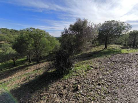 TERRENO COM 76.620 M2 - COM POSSIBILIDADE DE CONSTRUÇÃO - MORADIA E OU TURISMO - COM ÁRVORES - PRÓXMO A FOZ DE ODELEITE - CASTRO MARIM - ALGARVE
