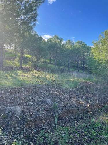 TERRENO COM 59.680 M² - COM POSSIBILIDADE DE CONSTRUÇÃO - HABITAÇÃO E/OU TURISMO - PRÓXIMO A CORTE VELHA - ODELEITE - CASTRO MARIM - ALGARVE
