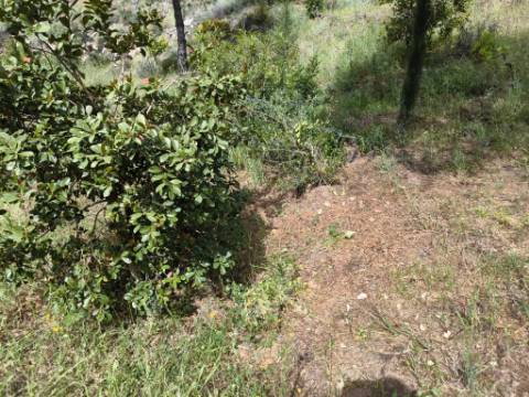 TERRENO COM 56.950 M2 - COM FURO - DEPOSITO DE ÁGUA - VISTA MAR - EM V. N. CACELA - VRSA - ALGARVE