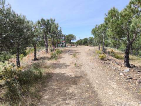 TERRENO COM 56.950 M2 - COM FURO - DEPOSITO DE ÁGUA - VISTA MAR - EM V. N. CACELA - VRSA - ALGARVE