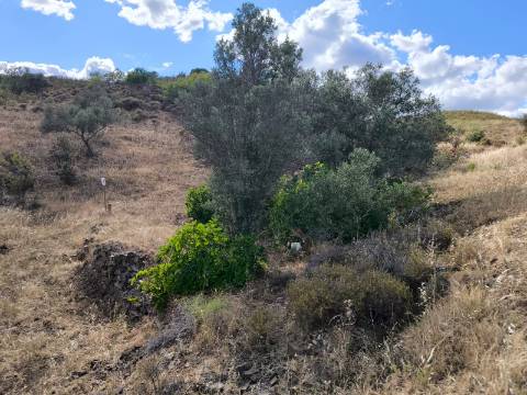 TERRENO MISTO COM 10.000 M² - COM ÁREA URBANA PARA CONSTRUÇÃO - VISTA MAR - VALE ANDREU - CASTRO MARIM - ALGARVE