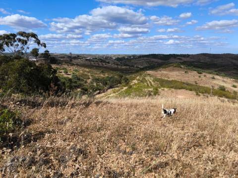 TERRENO MISTO COM 10.000 M² - COM ÁREA URBANA PARA CONSTRUÇÃO - VISTA MAR - VALE ANDREU - CASTRO MARIM - ALGARVE