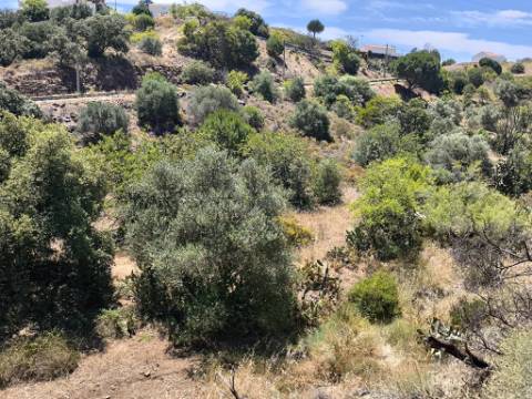 TERRENO RUSTICO COM 17.120 M2 - ACESSO POR ASFALTO - EM PEDRA ARRANCADA - ALTURA - CASTRO MARIM - ALGARVE