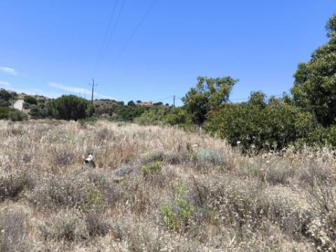 TERRENO RUSTICO COM 17.120 M2 - ACESSO POR ASFALTO - EM PEDRA ARRANCADA - ALTURA - CASTRO MARIM - ALGARVE
