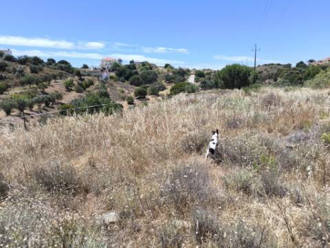 TERRENO RUSTICO COM 17.120 M2 - ACESSO POR ASFALTO - EM PEDRA ARRANCADA - ALTURA - CASTRO MARIM - ALGARVE