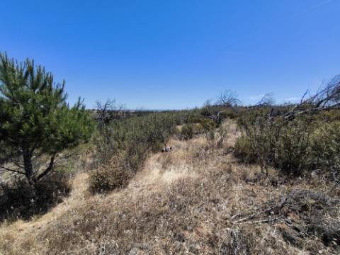 TERRENO RUSTICO COM 13.790 M2 - VISTA MAR - COM POÇO - PRÓXMO AO GOLFE - EM VILA NOVA DE CACELA - VRSA - ALGARVE