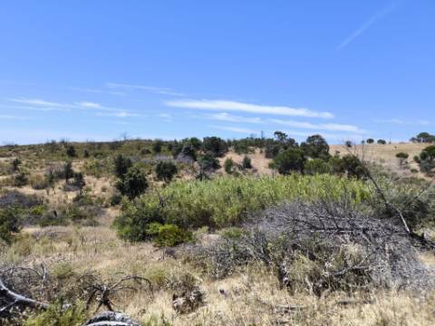 TERRENO RUSTICO COM 13.790 M2 - VISTA MAR - COM POÇO - PRÓXMO AO GOLFE - EM VILA NOVA DE CACELA - VRSA - ALGARVE