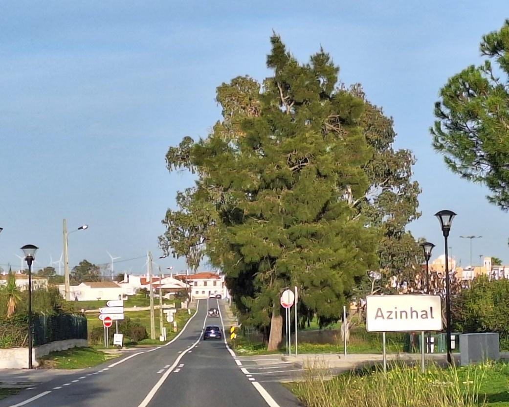 alt