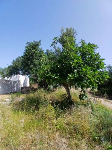 Moradia térrea para habitação em Moncarapacho - Olhão