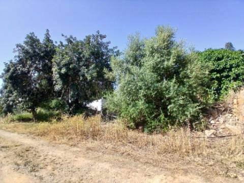 Moradia térrea para habitação em Moncarapacho - Olhão